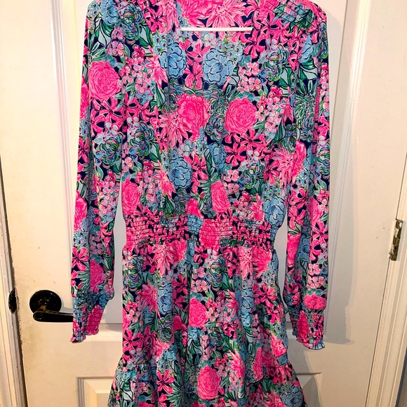 Lilly Pulitzer Dress - Picture 1 of 2